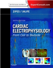 Cardiac electrophysiology from cell to bedside