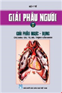 Giải phẫu người, Tập II. Giải phẫu ngực - bụng.