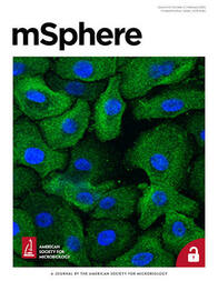mSphere