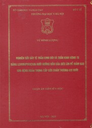 Nghiên cứu gây tê thần kinh đùi và thần kinh hông to bằng levobupivacain dưới hướng dẫn của siêu âm để giảm đau cho người bệnh trong cấp cứu chấn thương chi dưới
